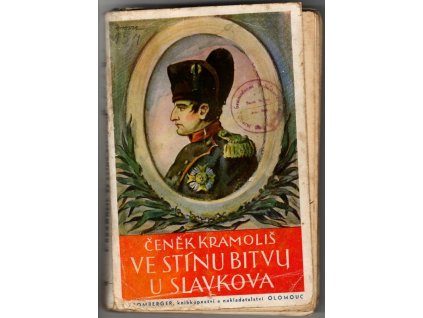 Ve stínu bitvy u Slavkova : historický román s počátku 19. století