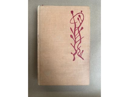 Křižáci na Západě