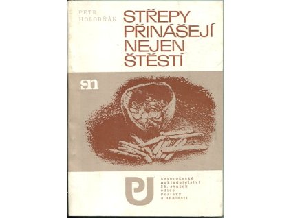 Střepy přinášejí nejen štěstí, Petr Holodňák, 1990