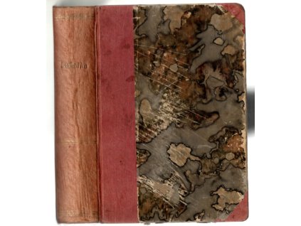 Kuchařka, Magdalena Dobromila Rettigová, 1870