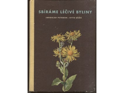 Sbíráme léčivé byliny