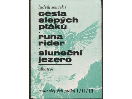 Cesta slepých ptáků - Runa rider - Sluneční jezero : četba pro žáky základních škol