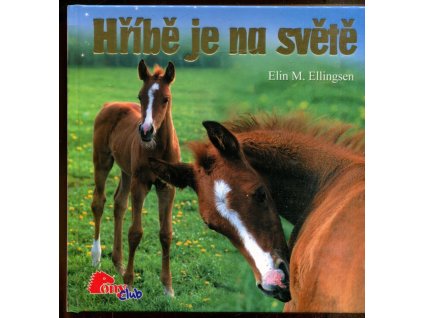 Hříbě je na světě, Elin M Ellingsen, 2007