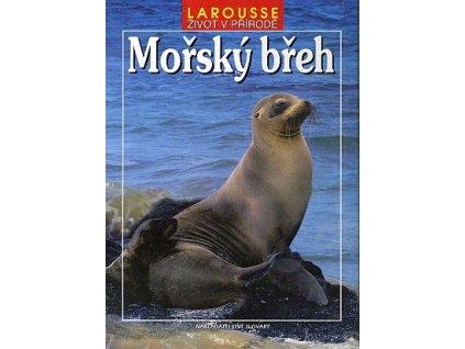 Mořský břeh, 1997