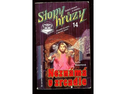 Neznámá v zrcadle, Lynn Beach, 1993