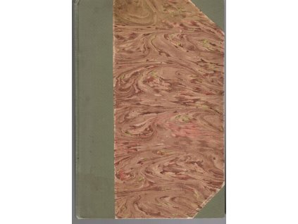 V hlubinách země - Dobrodružné příhody dvou polácků a jednoho angličana, 1925