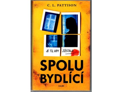 Spolubydlící, C.L. Pattison, 2019
