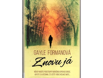 Znovu já, 2017