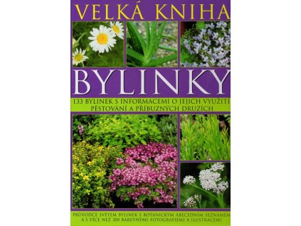 Velká kniha - Bylinky, Andi Clevely, 2013