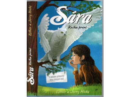Sára, kniha první : O věčném přátelství dvou blízkých duší, Esther Hicks, 2012