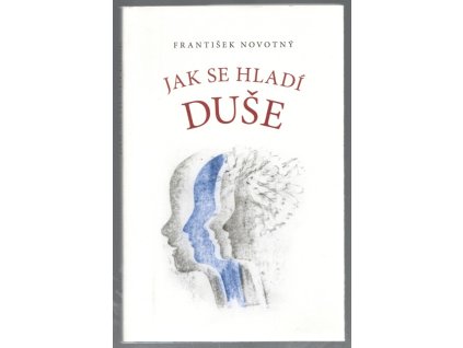 Jak se hladí duše, František Novotný, 2020