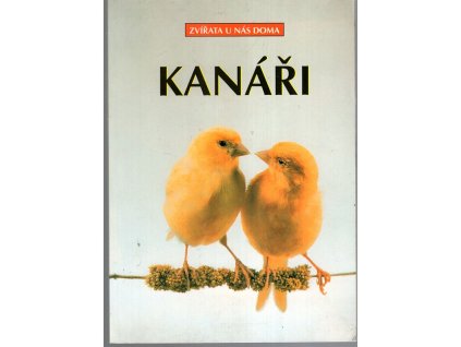 Kanáři, Markus Hübl, 1999