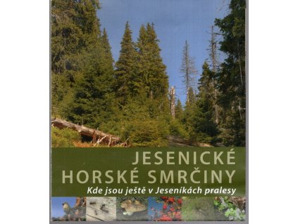 Jesenické horské smrčiny - Kde jsou ještě v Jeseníkách pralesy, 2014