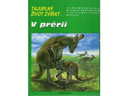 V prérii, Daniel Alibert-Kouraguine, 1992