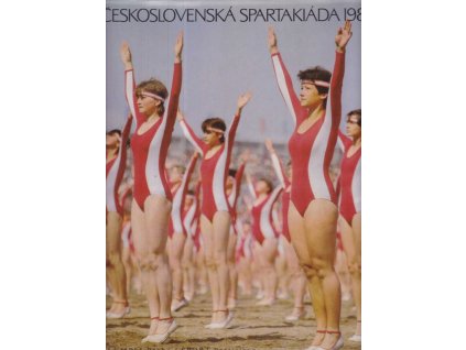 Československá spartakiáda 1985, Ernest a kol. Demetrovič, 1985