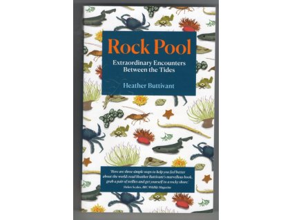Rock Pool (Extraordinary Encounters Between the Tides), Heather Buttivant, 2019