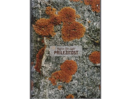 Příležitost, Martin Dostál, 2010