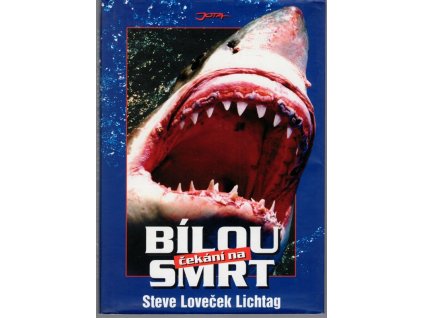 Čekání na bílou smrt, Steve Lichtag, 2002