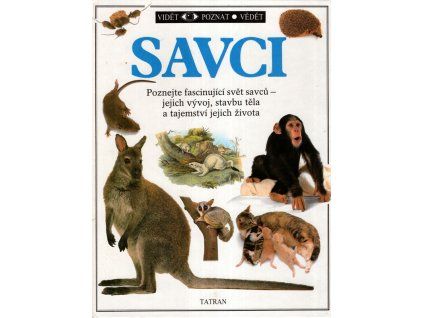 Savci, Steve Parker, 1991