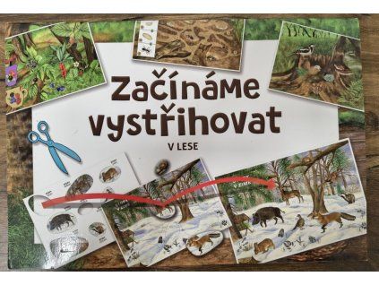 Začínáme vystřihovat - V lese, 2019