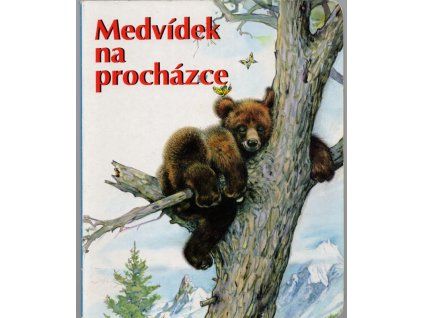 Medvídek na procházce, 2004