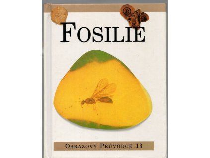 Fosilie, 1998
