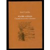 Staník a Chaja - čkyňské historické romaneto, Josef Lavička, 2016