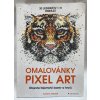 Omalovánky Pixel Art, Joanna Webster, 2016