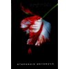 Stmívání, Nový měsíc, Zatmění, Rozbřesk - krabice, Stephenie Meyer, 2009