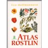 Atlas rostlin, Eva Hoffmannová, 2003