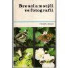 Brouci a motýli ve fotografii, Jiří Pradáč, 1982
