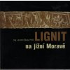 Lignit na jižní Moravě, Jaromír Škola, 2005