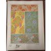 Les Fleurs et Leurs Applications Decoratives - NEKOMPLETNÍ, E. Séguy, 0