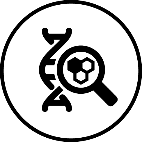 Zpomalují stárnutí