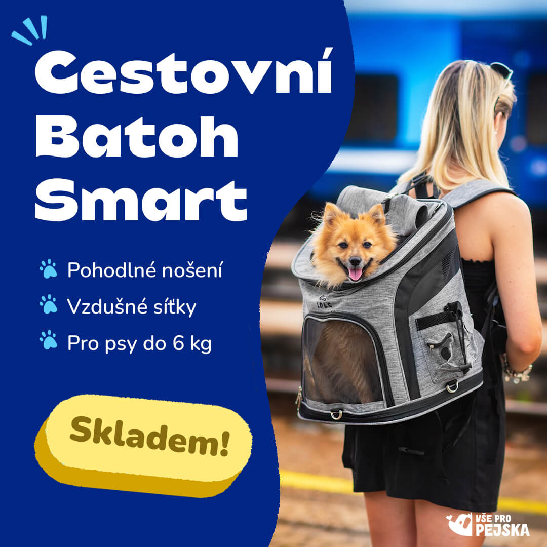 Batoh pro psy bestseller