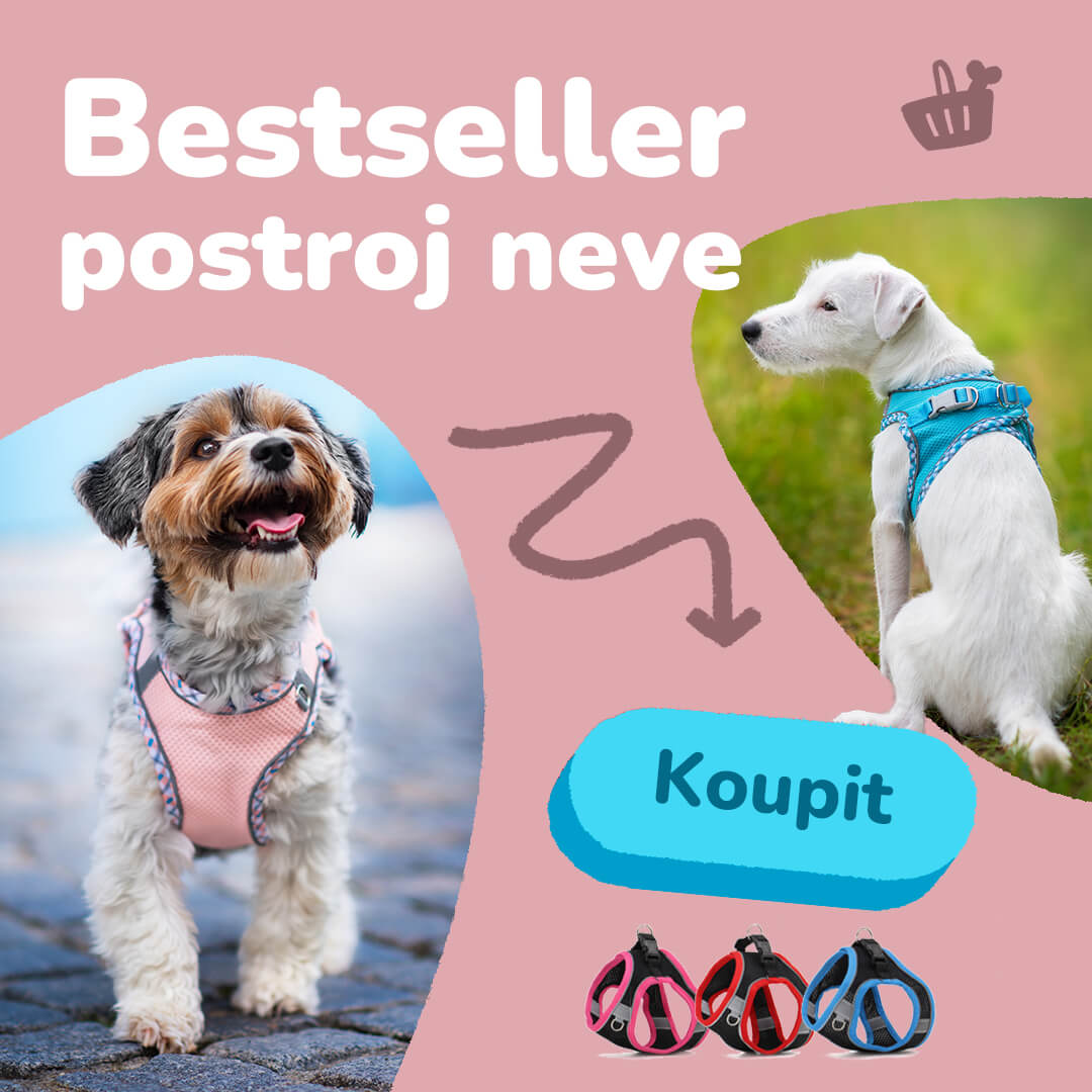 Bestseller postroj neve