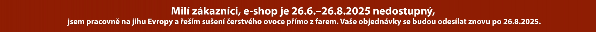 pracovní cesta