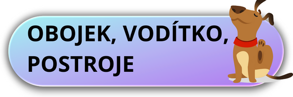 Obojek, vodítko a postroje