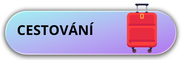 Cestování se psem