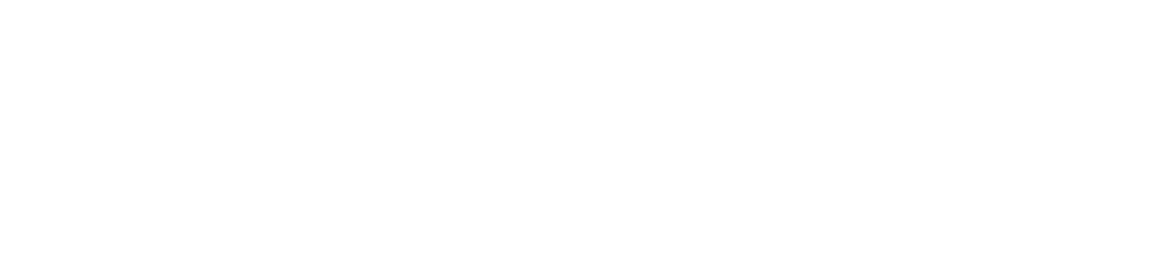 AARYANS.CZ