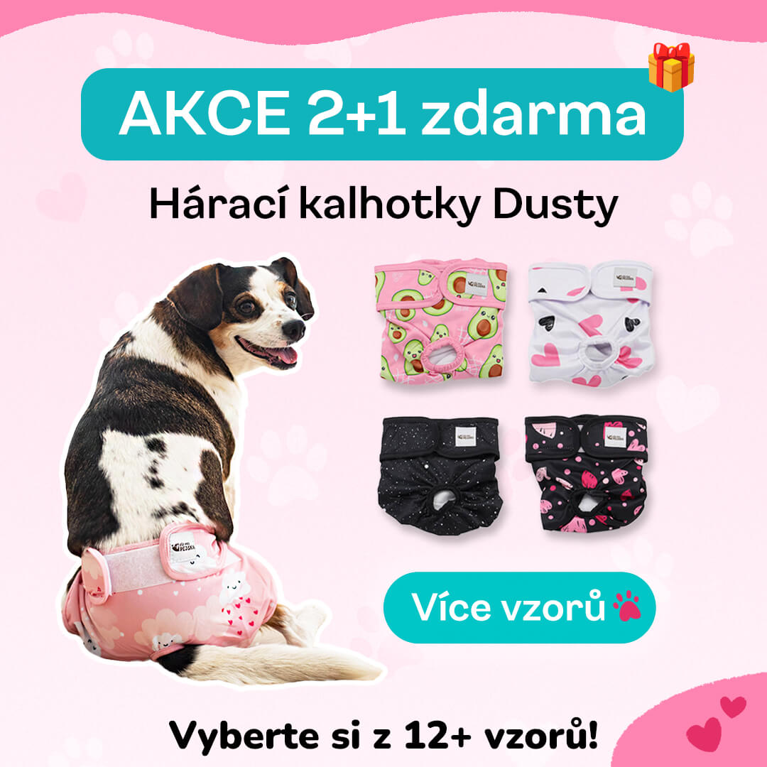 Hárací kalhotky dusty 2+1 ZDARMA
