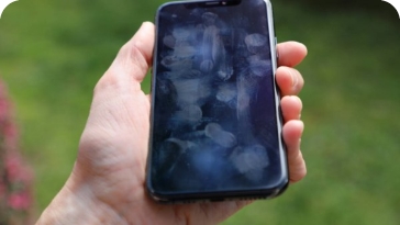 A telefonok piszkosabbak, mint a WC-csészék