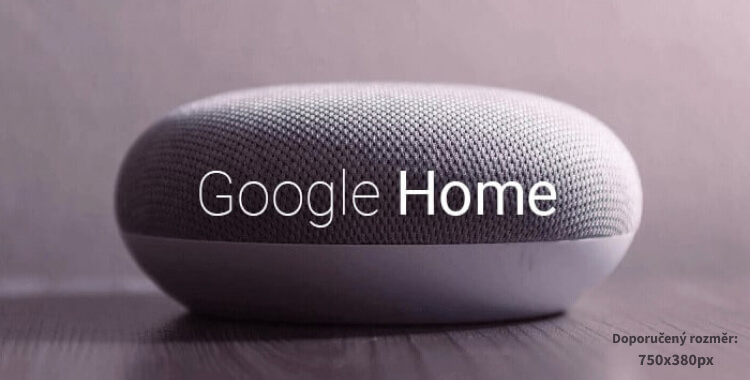 Google home