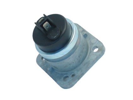 size5 17594883227695 175