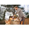 Aku pila STIHL MSA 70 C-B SET