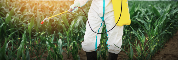 Pesticidy