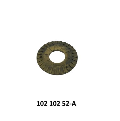 10210252 A 1