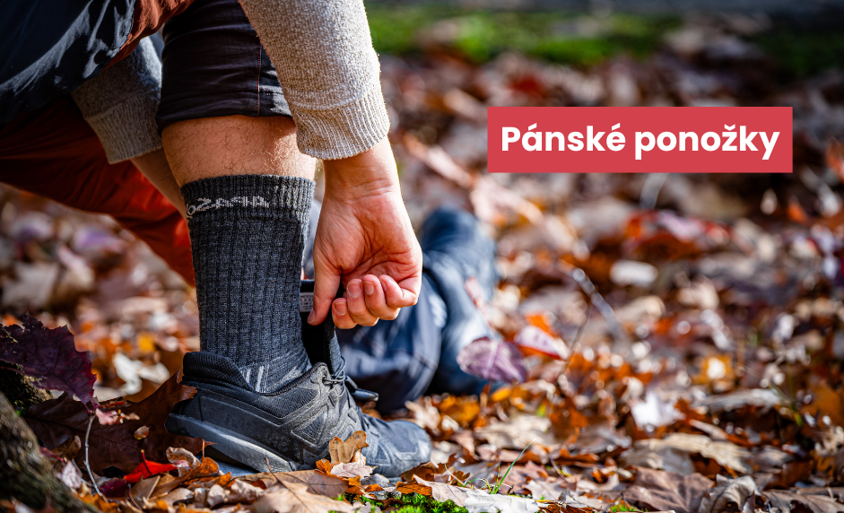 Pánské ponožky