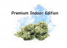 Premium Indoor Edition