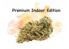 Premium Indoor Edition